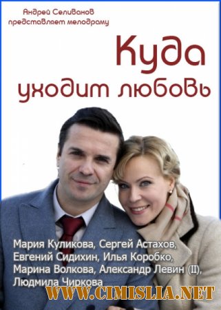 Куда уходит любовь [2014 /  SATRip]