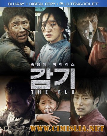 Грипп / Вирус / The flu / Gamgi [2013 / HDRip]