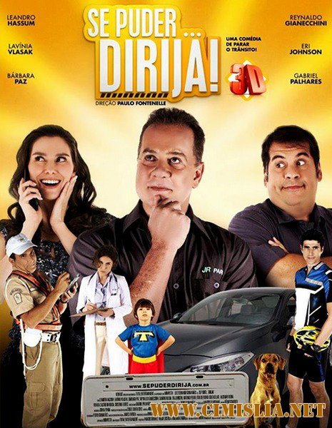 Угонщик поневоле / Если можете... Ездите! / Se Puder... Dirija! [2013 / DVDRip]