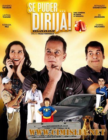 Угонщик поневоле / Если можете... Ездите! / Se Puder... Dirija! [2013 / DVDRip]