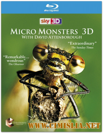 Микро Монстры с Девидом Аттенборо / Micro Monsters with David Attenborough [01-06 из 06] [2013 / BDRip]