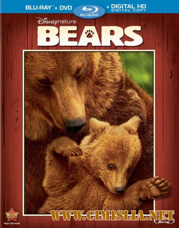 Медведи / Bears [2014 / HDRip  | Лицензия]