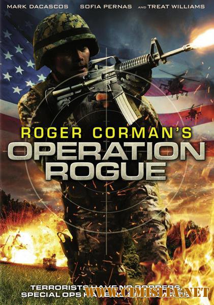 Операция Негодяй / Операция Возмездие / Operation Rogue [2014 / DVDRip | Лицензия]