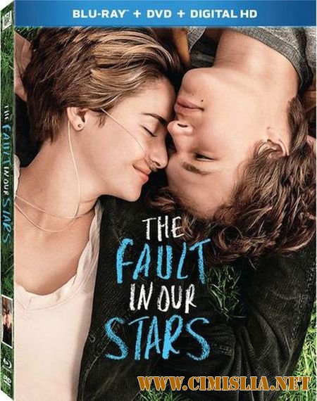 Виноваты звезды / The Fault in Our Stars [2014 / BDRip / Theatrical Cut | Лицензия]