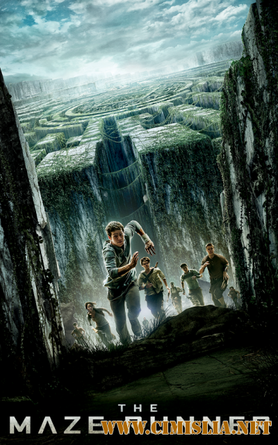 [Android] Бегущий в лабиринте [2014 / RUS]