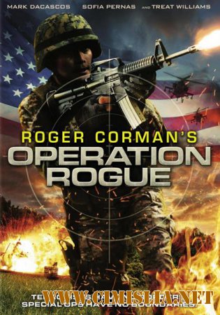 Операция Негодяй / Операция Возмездие / Operation Rogue [2014 / DVDRip | Лицензия]