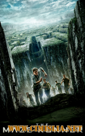 [Android] Бегущий в лабиринте [2014 / RUS]