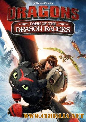 Драконы: Гонки бесстрашных. Начало / Dragons: Dawn of the Dragon Racers [2014 / BDRip   | Лицензия]