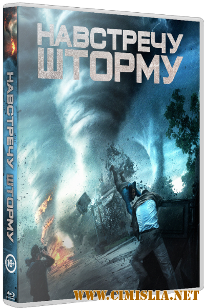 Навстречу шторму / Into the Storm [2014  / HDRip | Лицензия]