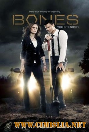 Кости / Bones [S01-11] [2005-2016 / DVDRip, WEB-DLRip]