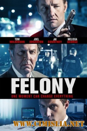 Особо тяжкое преступление / Felony [2013 / WEB-DLRip]