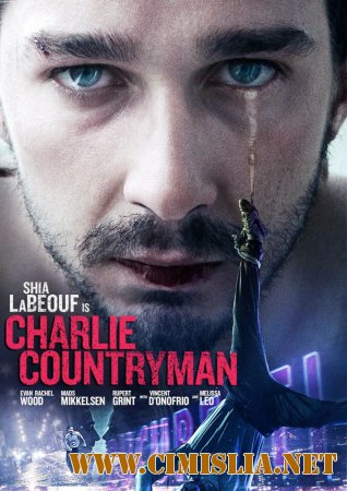 Влюбиться до смерти / The Necessary Death of Charlie Countryman [2013 / HDRip | Лицензия]