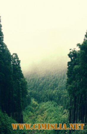 Обои для рабочего стола - Природа [2014]