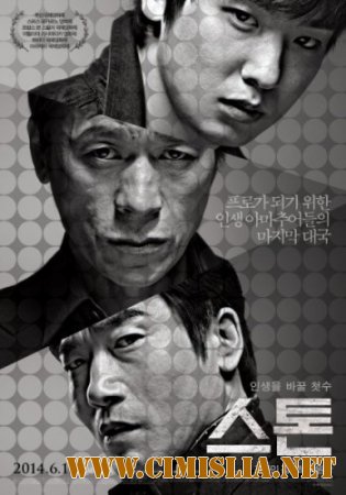 Камень / The Stone [2013 / DVDRip]