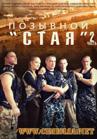 Позывной "Стая" 2 [01-12 из 12] [2014 / SATRip]