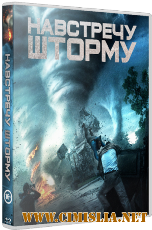 Навстречу шторму / Into the Storm [2014  / HDRip | Лицензия]