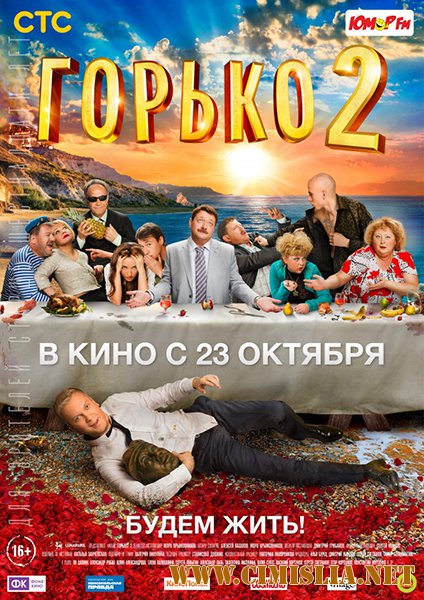 Горько! 2 [2014 / WEB-DLRip]