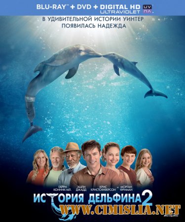 История дельфина 2 / Dolphin Tale 2 [2014 / HDRip | Лицензия]
