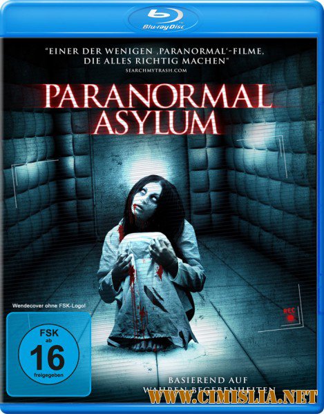 Паранормальная больница: Месть тифозной Мэри / Paranormal Asylum: The Revenge of Typhoid Mary [2013 / HDRip]