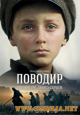 Поводырь / Поводир / The Guide [2014 / DVDScr]