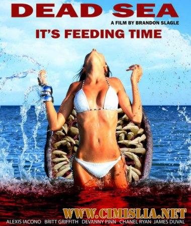 Мёртвое море / Dead Sea [2014 / DVDRip]