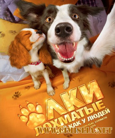 Ёлки лохматые [2014 / HDRip  | Лицензия]