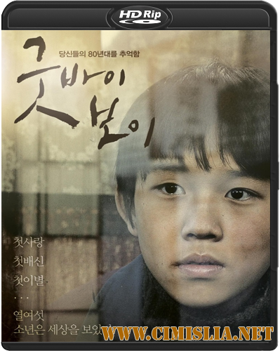 Мальчик / Boy [2010 / HDTVRip]