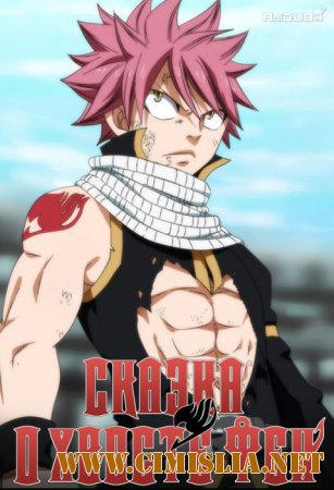 Сказка о хвосте феи / Fairy Tail [Season 1-4 / Episode 001-175] [АniDub] [2009-2013 / HDTVRip 720]