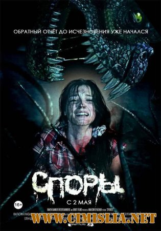 Споры [2011 / HDRip-AVC]