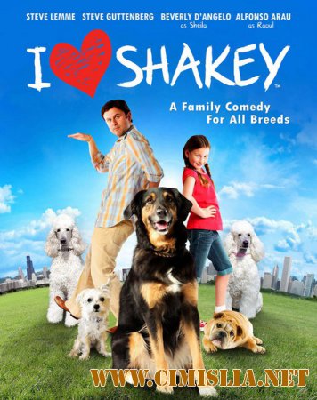 Я, папа и собака / I Heart Shakey [2012 / WEB-DLRip]
