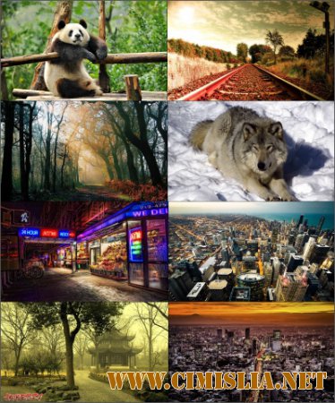 Обои для рабочего стола - Разное  [2015 / JPG]