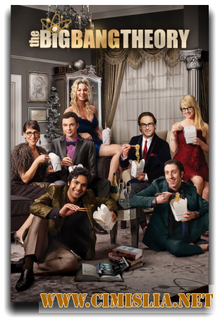 Теория большого взрыва / The Big Bang Theory  [S01-10x01-231 из 231]  [2007-2017 / HDTVRip]