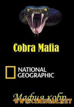 Мафия кобр / Cobra Mafia [2014 / HDTVRip]