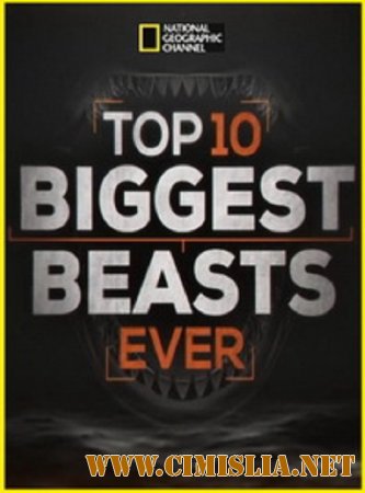 National Geographic. Топ-10 мегамонстров / Top-10 Biggest Beasts Ever [2015 / SATRip]