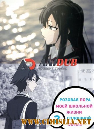 Розовая пора моей школьной жизни сплошной обман / Yahari Ore no Seishun Love Come wa Machigatteiru  [Season 2/ Episode 1-13] [2015 / HDTVRip]
