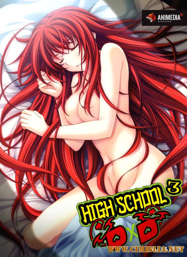 Демоны старшей школы / High School DxD Born [TV] (S03) [2015 / HDTVRip]