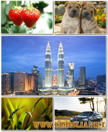 Обои для рабочего стола - Разное [2015 / JPG]