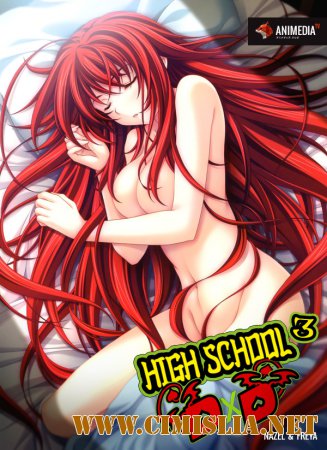 Демоны старшей школы / High School DxD Born [TV] (S03) [2015 / HDTVRip]