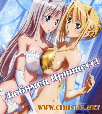 Любимец принцесс! / Princess Lover! [01-12 из 12]  [2009 / HDTVRip]