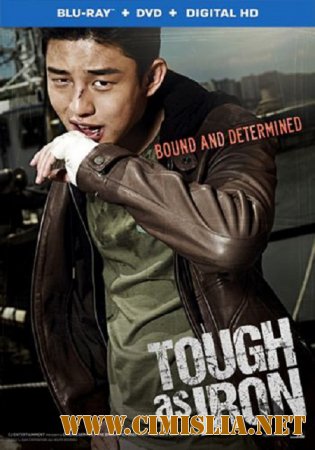 Железный / Kang-chul-i [2013 / HDRip]