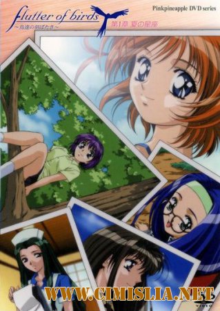 Касание девственницы / Virgin Touch [2002 / DVDRip]