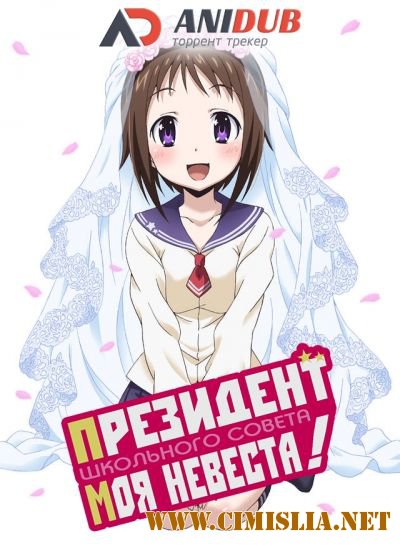 Президент школьного совета моя невеста / Okusama ga Seitokaichou!  [AniDUB] [Episode 1-12] [2015 / HDTVRip]