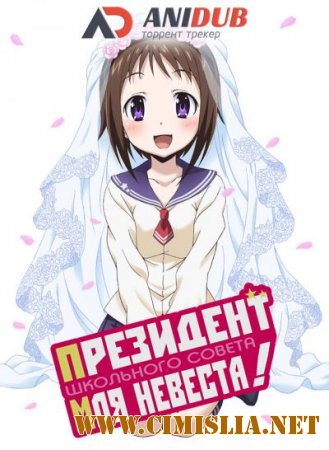 Президент школьного совета моя невеста / Okusama ga Seitokaichou!  [AniDUB] [Episode 1-12] [2015 / HDTVRip]