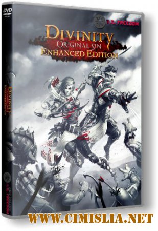 Divinity: Original Sin - Enhanced Edition [RePack] [2015 / MULTi6 / ENG / RUS]