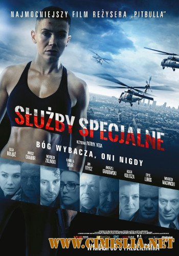 Спецслужбы / S&#322;u&#380;by specjalne [2014 / DVDRip]
