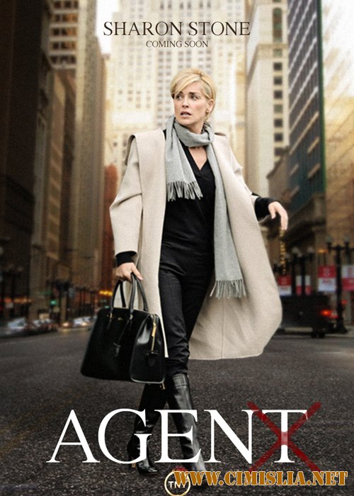 Агент Икс / Agent X [01x01-10 из 10] [2015 / WEB-DLRip]