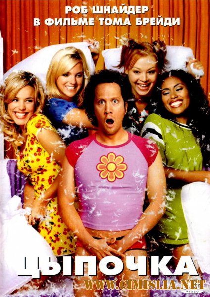 Цыпочка / The Hot Chick [2002 / HDTVRip]