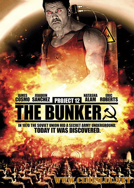 Проект 12: Бункер / Project 12: The Bunker [2016 / DVDRip]
