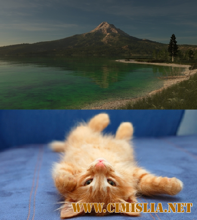 Обои для рабочего стола - 100 Amazing Mixed Wallpapers [Pack - 117]  [2016 / JPG]