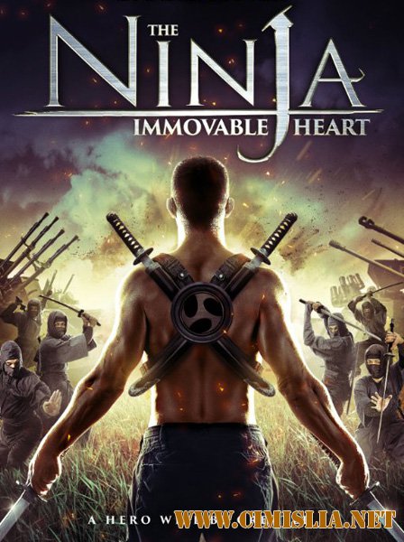 Ниндзя: Шаг в неизвестность / Ninja Immovable Heart [2014 / HDRip]